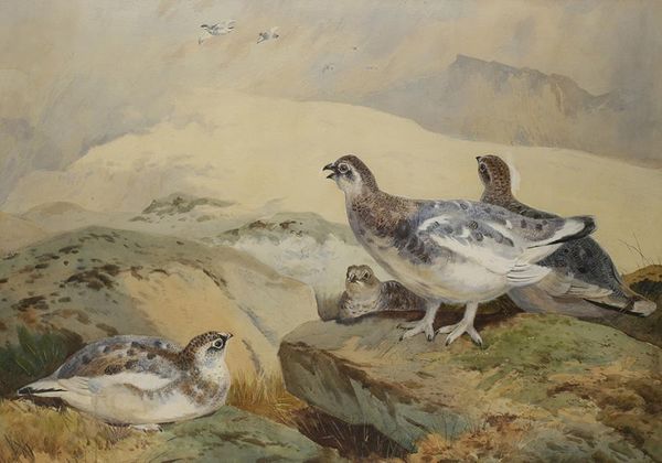 AFTER ARCHIBALD THORBURN (1860-1935) 'PTARMIGANS'