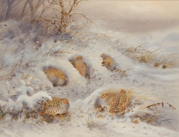 •RICHARD ROBJENT (B.1937) grey partridges in a snowy landscape