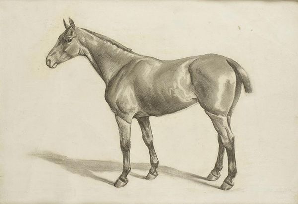 ENGLISH SCHOOL, 20TH CENTURY five studies of horses