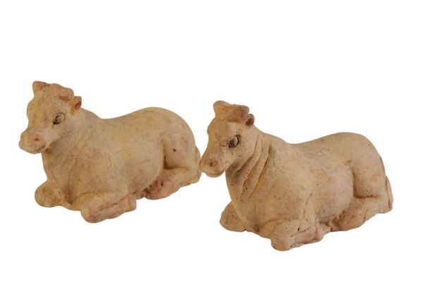 TWO BISCUIT POTTERY FIGURES OF OX'S, MING DYNASTY