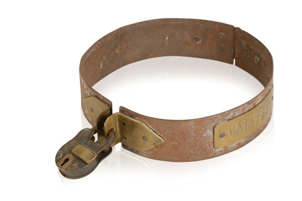 STEEL BEAR COLLAR