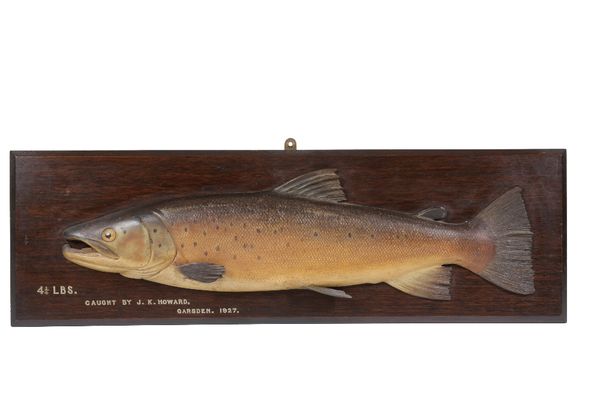 CARVED WOODEN AND PAINTED HALF-BLOCK MODEL OF TROUT