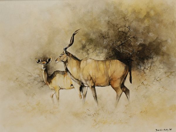 •DAVID KELLY (b.1959) A study of antelope in the bush