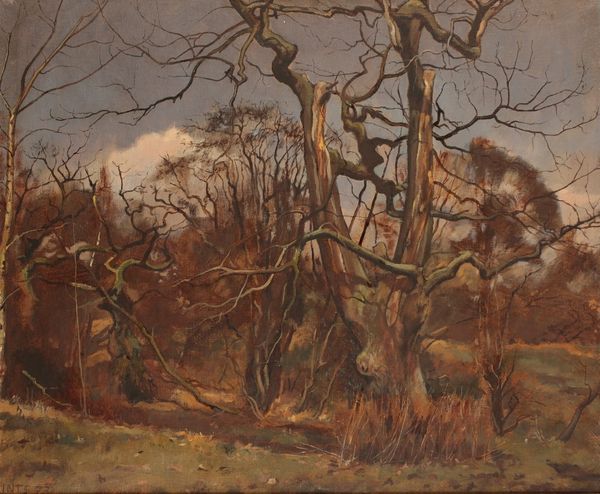 ENGLISH SCHOOL, 20th century A study of trees