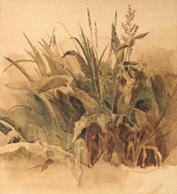 PETER DE WINT (1784-1849) A study of ferns and foliage