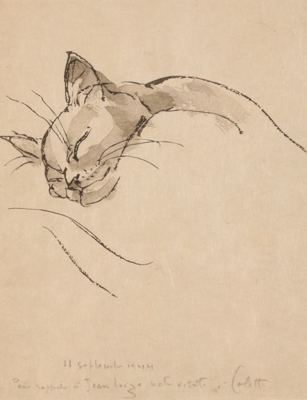 •GERMAINE DE COSTER (1895-1992) 'Collette the sleeping cat'