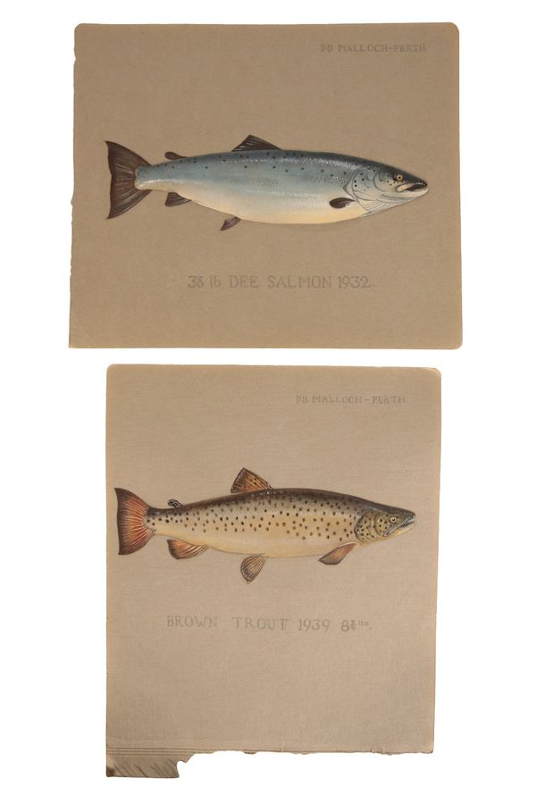 P.D. MALLOCH OF PERTH: A STUDY OF A SALMON