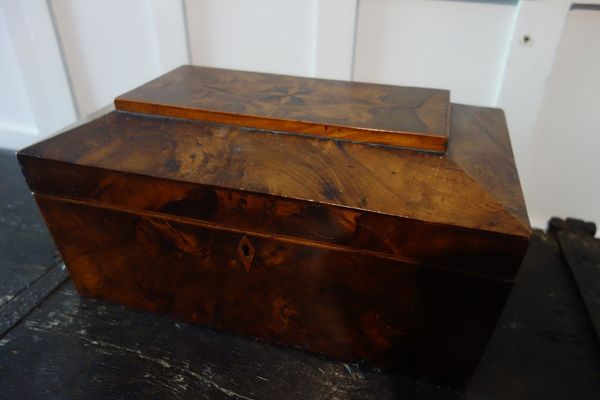 A REGENCY YEW WOOD AND MARQUETRY TEA CADDY