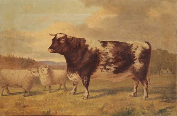 NAIVE SCHOOL, 19TH CENTURY Study of a bull and sheep in a landscape