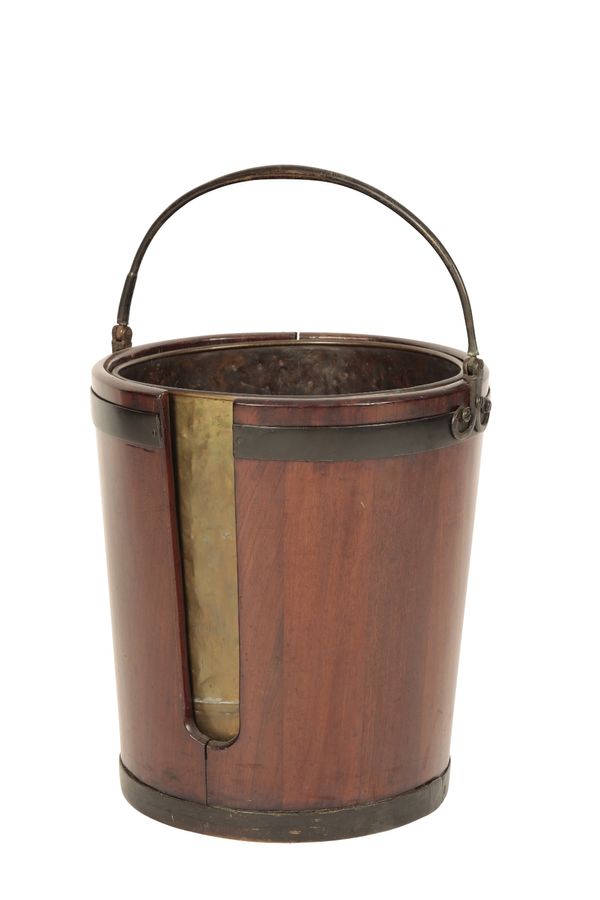 MAHOGANY AND BRASS MOUNTED PLATE BUCKET