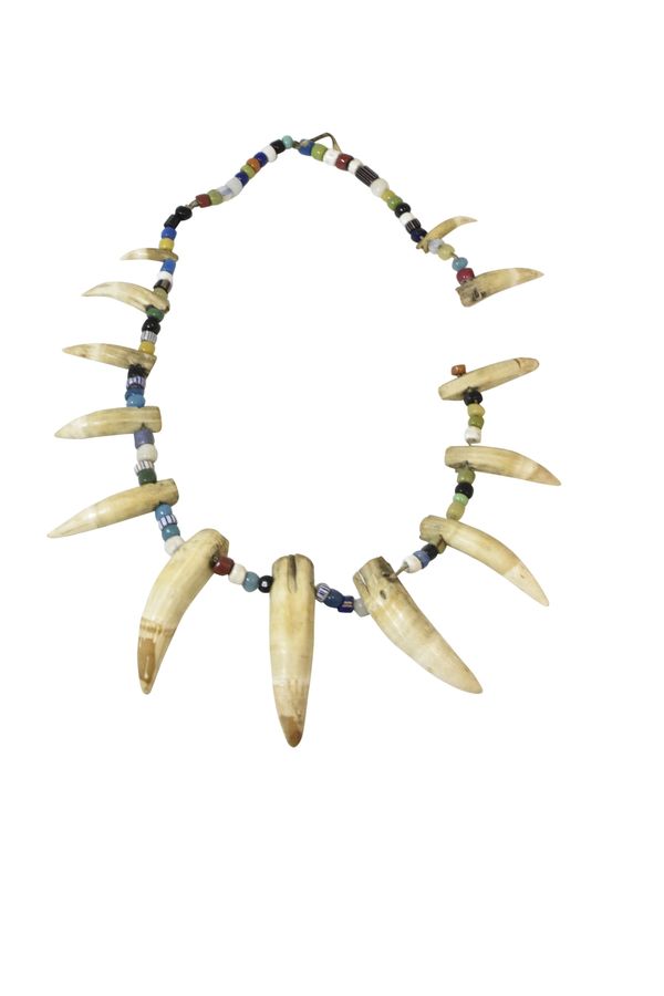 SABRE TOOTH AND BEAD NECKLACE, 19th/20th century