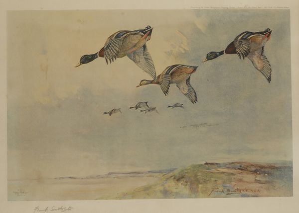FRANK SOUTHGATE (1872-1916) A set of six coloured prints of game birds