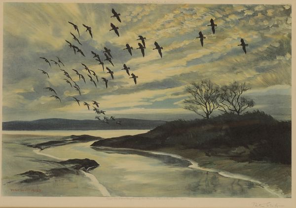 SIR PETER SCOTT (1909-1989) Geese in flight