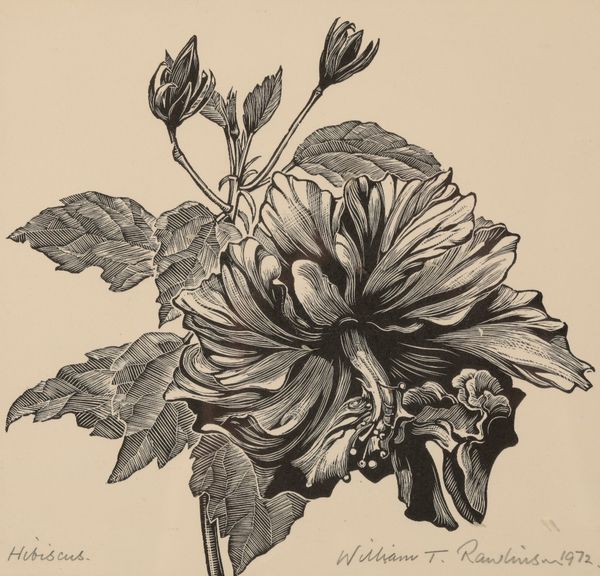 *WILLIAM T RAWLINSON (1912-1993) A set of five botanical woodcuts