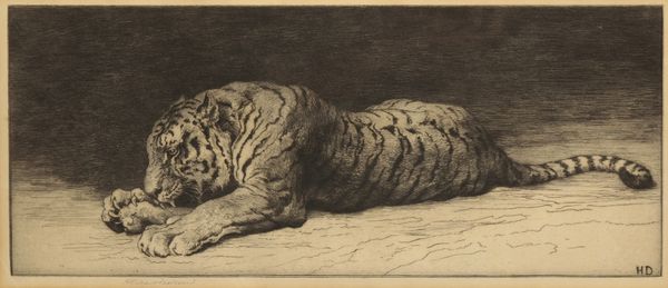 HERBERT DICKSEE (1862-1942) 'Tiger Gnawing on a Bone'