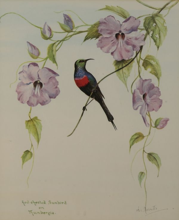 AFTER IRIS DARNTON (1927 - 2017), A SET OF FIVE PRINTS OF SUNBIRDS AMONGST FLOWERS