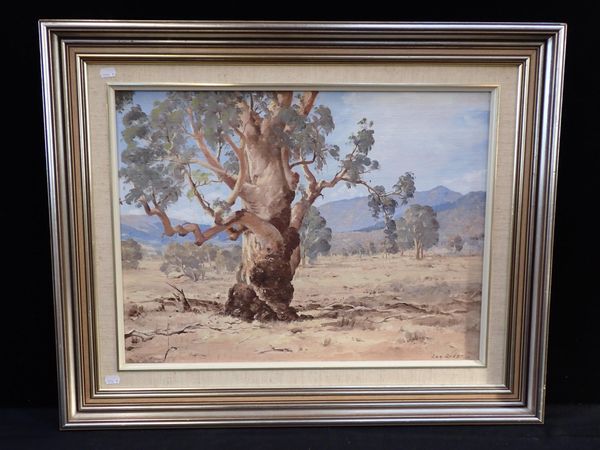 LES REES: 'AN OLD GUM-BACK OF MYRTLEFORD, VICTORIA' AUSTRALIA