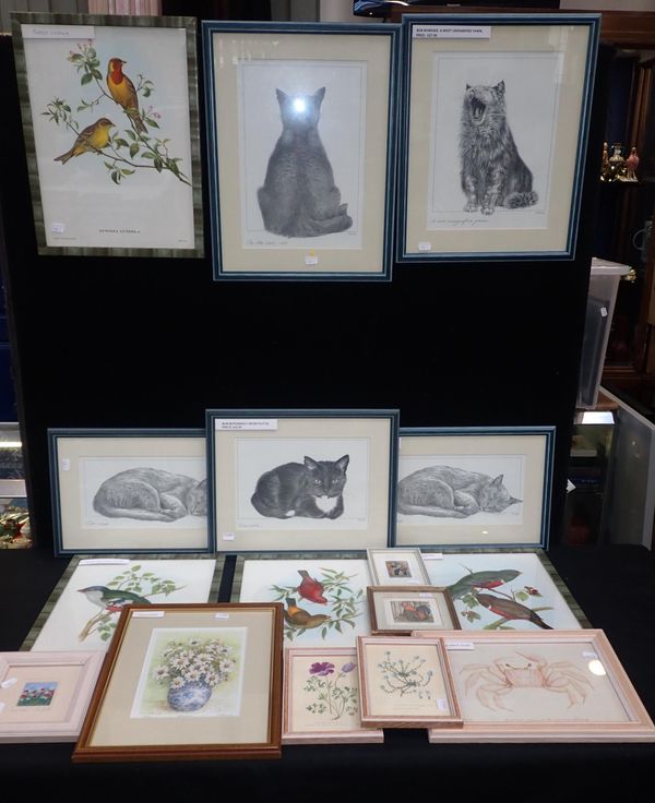 A COLLECTION OF PRINTS OF ANIMALS AND OTHER SUBECTS