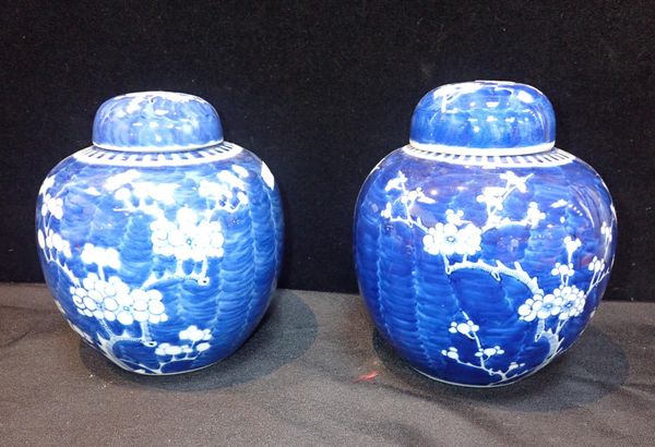 A PAIR OF CHINESE GINGER JARS
