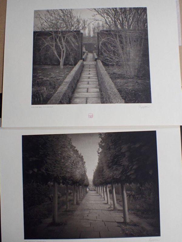 BETH DOW, (B.1964): TWO PHOTOGRAPHS, 'GIRL AND BOY, SISSINGHURST'