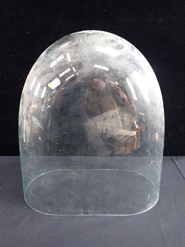 A VCTORIAN GLASS DOME