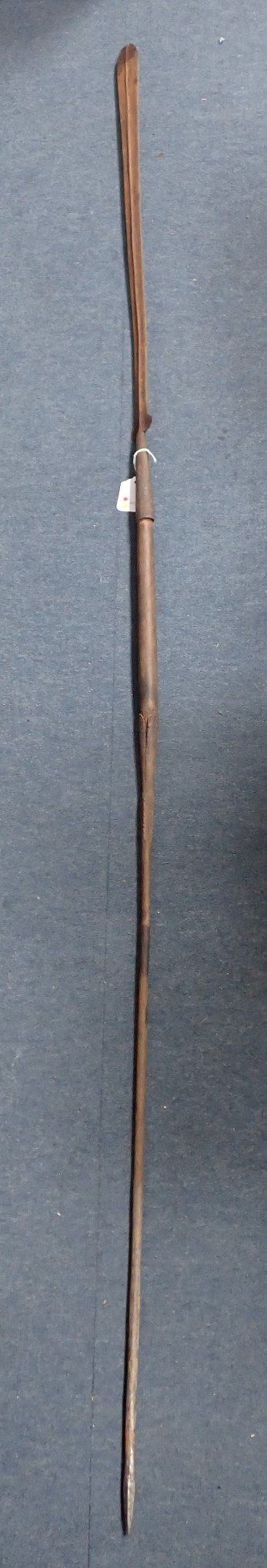 A 'LION SPEAR'