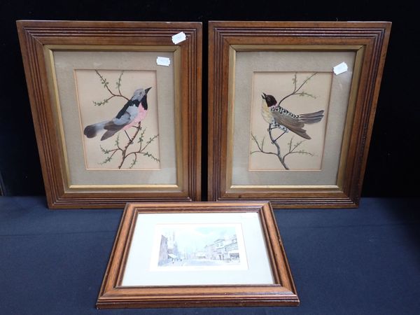 A PAIR OF EARLY 20TH CENTURY FEATHER COLLAGE BIRD PICTURES