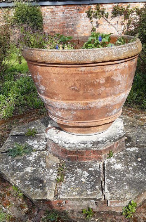 A LARGE ITALIAN TERRACOTTA GARDEN URN,