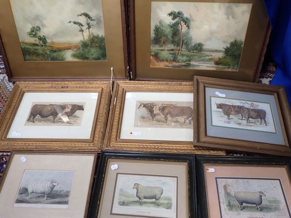 THREE 19TH CENTURY SHEEP PRINTS