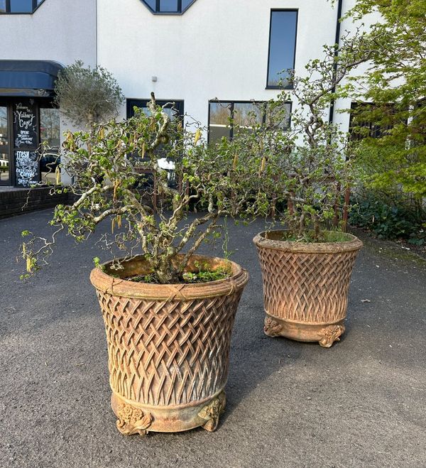 A PAIR OF TERRACOTTA PLANTERS