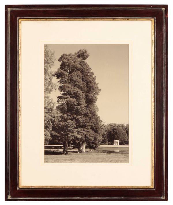 PAIR OF FRAMED PHOTOGRAPHIC PRINTS OF PARKLANDS