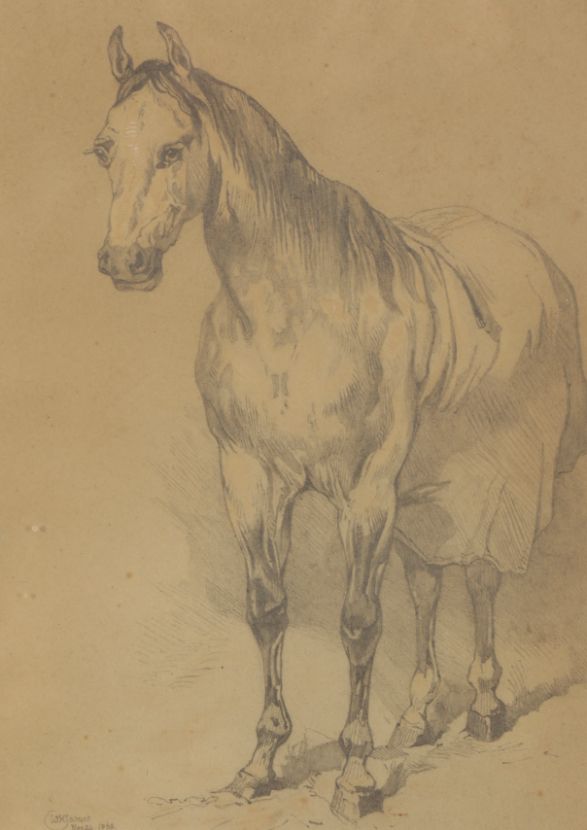 W.H. JAMES (19TH CENTURY) A study of a horse