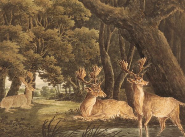 ENGLISH SCHOOL, 19TH CENTURY Deer in a landscape