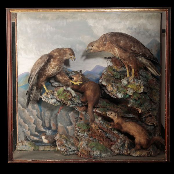 LATE 19TH CENTURY TAXIDERMY MIXED GROUP CASE