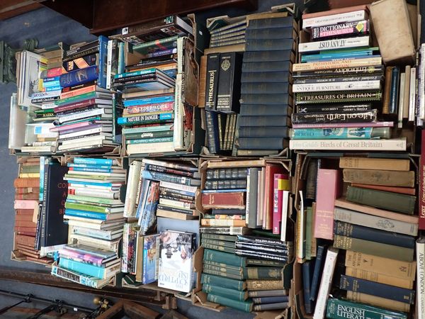 A LARGE QUANTITY OF BOOKS