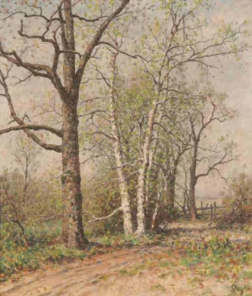 ALPHONSE STENGELIN (1852-1938) Study of trees