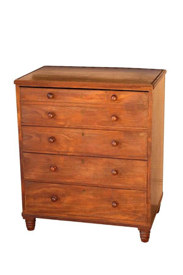 A REGENCY MAHOGANY BACHELORS CHEST