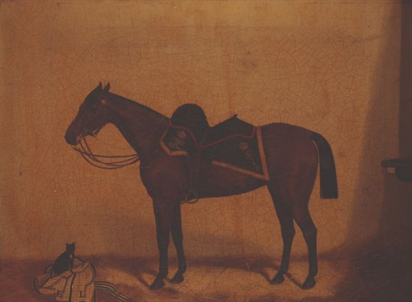 E. HALLY (19th Century) 'Ladybird' and 'Rufus' a pair of horse portraits