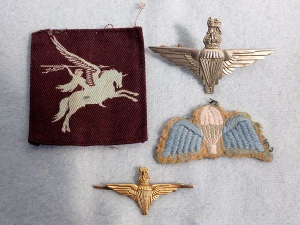 A CLOTH WINGS BADGE, A CAP BADGE