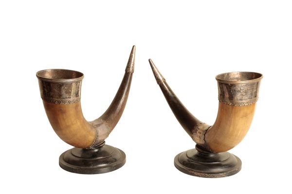 A PAIR OF VICTORIAN SILVER PLATED METAL MOUNTED HORNS,