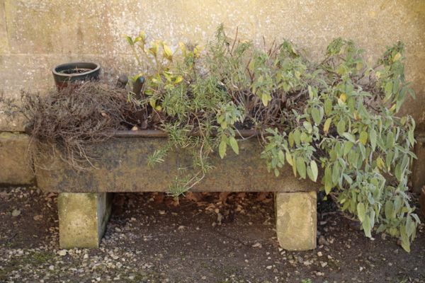 A CAST IRON TROUGH,