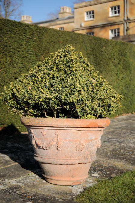 A SET OF FOUR ITALIAN TERRACOTTA GARDEN URNS,