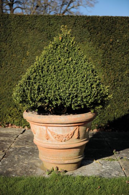 A GROUP OF FOUR ITALIAN TERRACOTTA GARDEN URNS,