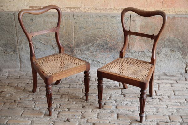 A PAIR OF REGENCY OAK AND CANEWORK SIDE CHAIRS, ATTRIBUTABLE TO GILLOWS,