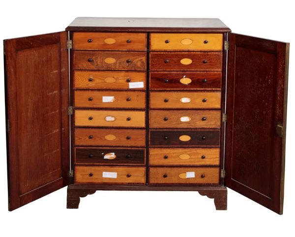 A GEORGE III MAHOGANY AND CROSSBANDED COLLECTOR'S CABINET,