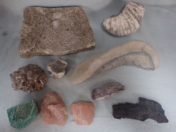 (added to 2225-15)A SMALL COLLECTION OF FOSSILS AND ROCK SPECIMENS