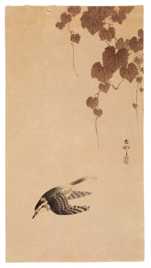 OHARA KOSON (1877-1945) Bird in flight