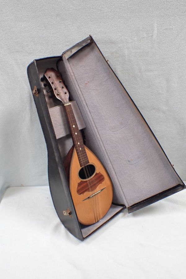 A MANDOLIN IN CASE