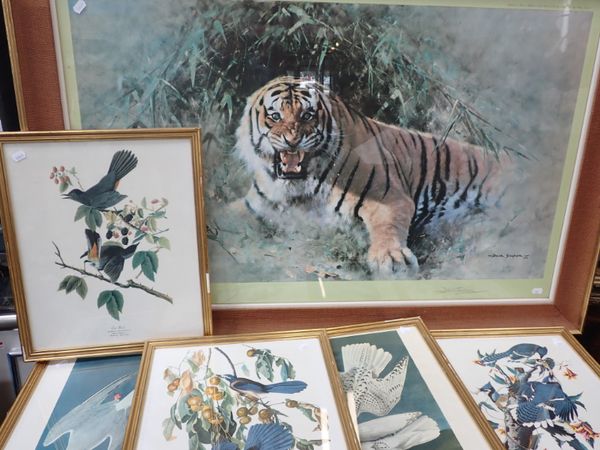 AFTER DAVID SHEPHERD: 'TIGER FIRE', SIGNED