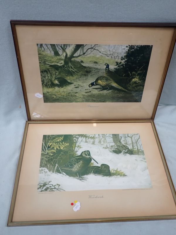 TWO PRINTS OF BIRDS AFTER ARCHIBALD THORBURN